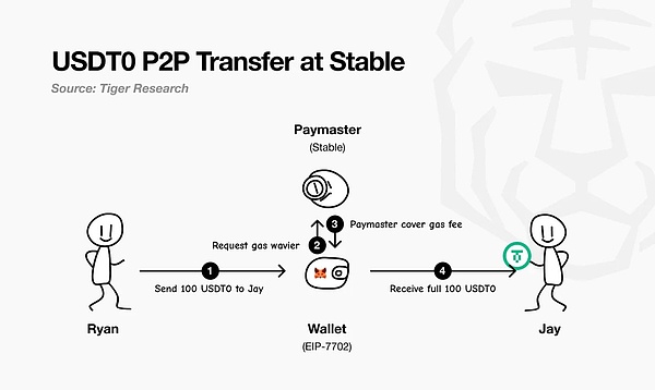 一文读懂稳定币公链