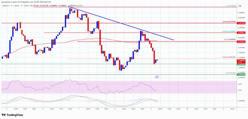 狗狗币（DOGE）再次走弱——下行风险重现，多头保持警惕