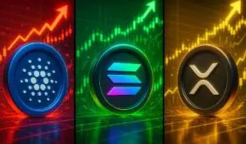 XRP、Solana与Cardano：谁将领跑2026年前40倍收益？