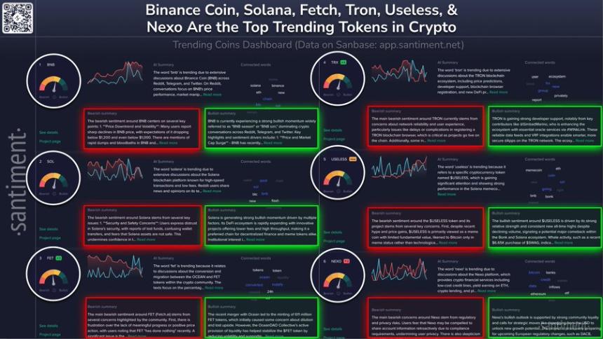 牛市期间值得关注的热门币种
