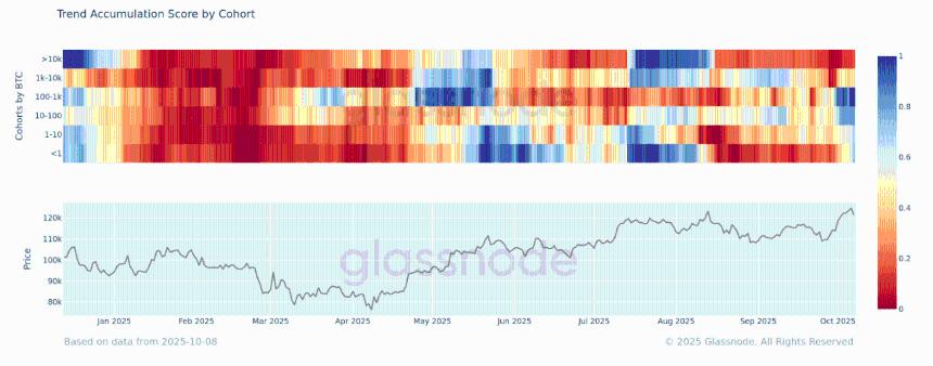  比特币投资者转向增持，但巨鲸仍在抛售 
