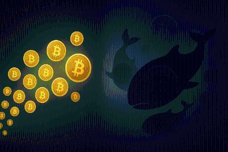 巨鲸持续抛售 vs 市场增持：比特币波动背后的资金博弈