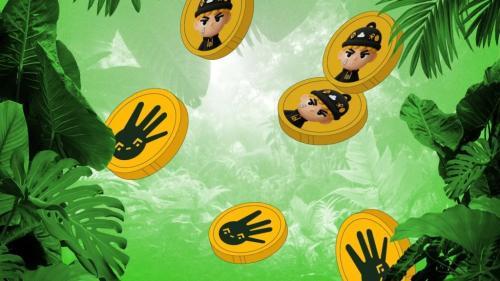 BNB链Memecoin崩盘：一夜暴跌90%，徐明星揭信仰式传销本质