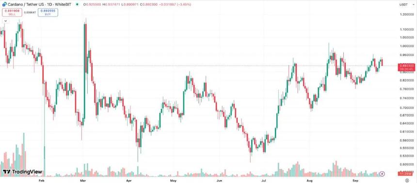 卡尔达诺2025年价格预测与Pepeto崛起：以太坊Meme Coin预售成焦点