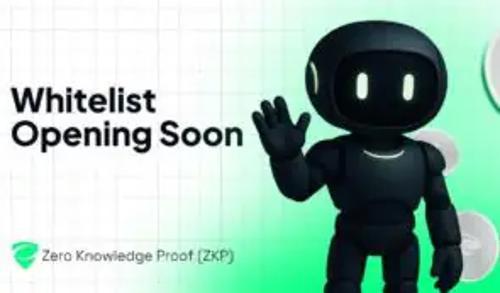ZKP白名单上线：2025年最具潜力加密货币项目登场