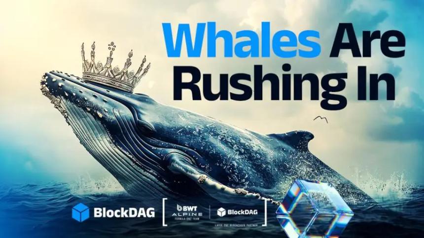 第四季度加密货币焦点：BlockDAG、XRP、Stellar 和 Chainlink 的崛起与较量