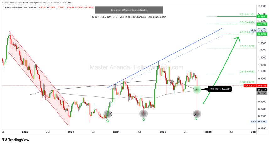分析师预测：Cardano 或将迎来突破性上涨，目标直指 5 美元