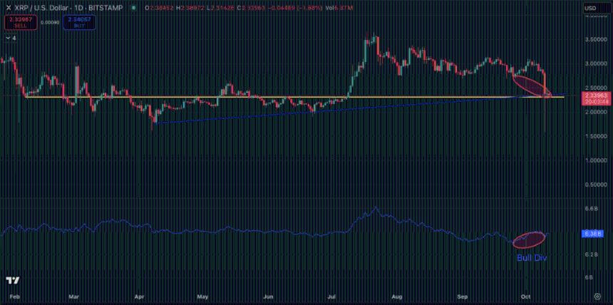 XRP价格预测：$XRP在加密货币崩盘中下滑，是时候逢低买入了吗？