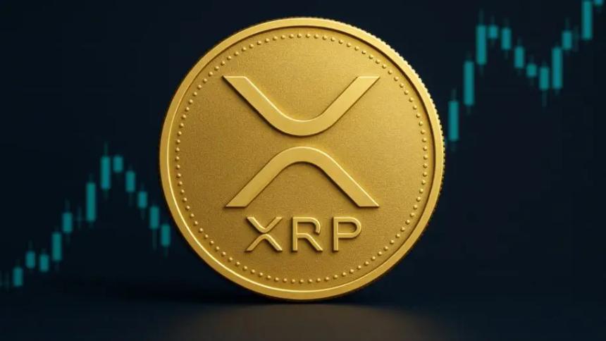 XRP市场动态：投资者抄底推动300亿美元资金回流