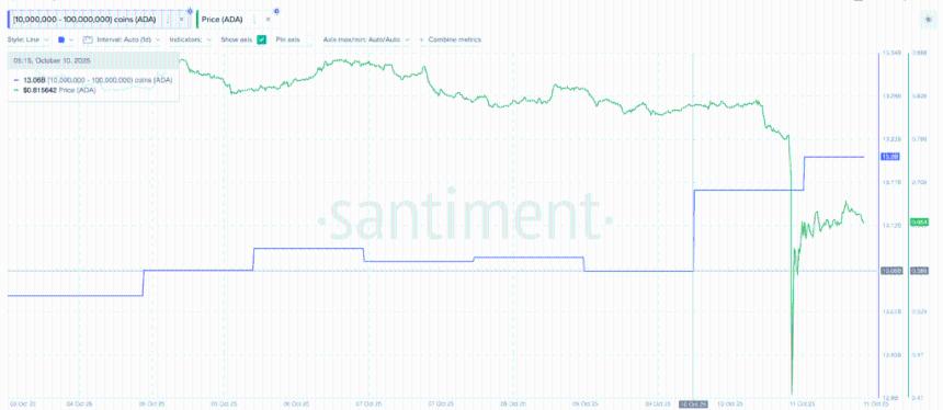 卡尔达诺能否逆转颓势：鲸鱼增持能否引领市场复苏？