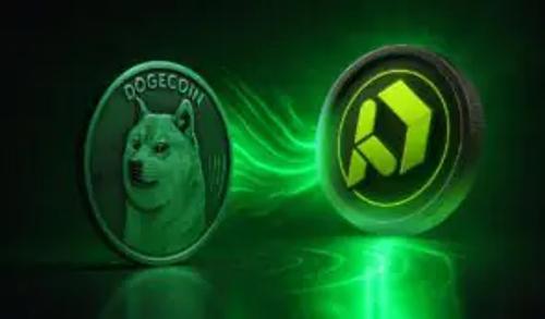 狗狗币扩音器形态现5美元预测，Paydax协议或两周飙升77000%