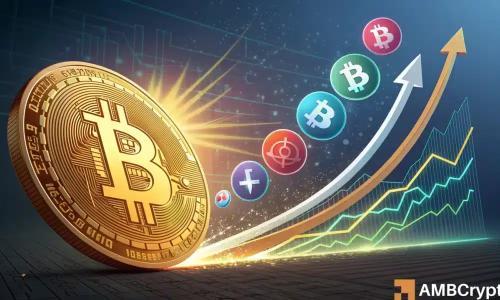 山寨币迎资金轮动机遇 比特币波动后新方向浮现