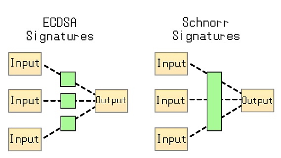 Schnorr and Taproot: A Dynamic Duo Shaking Up The Network!