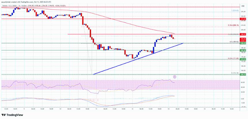 Solana（SOL）再次走高——它终于找到了短期底部吗？