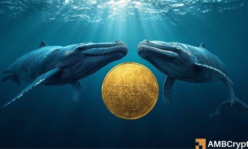 Zerebro暴涨430%后回调至0.03美元，鲸鱼操纵疑云引发市场警惕