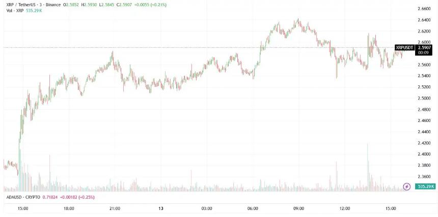 XRP暴跌50%后显示出早期复苏迹象