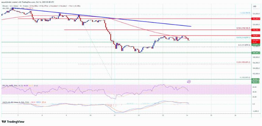 比特币面临压力——价格会很快恢复下行趋势吗？