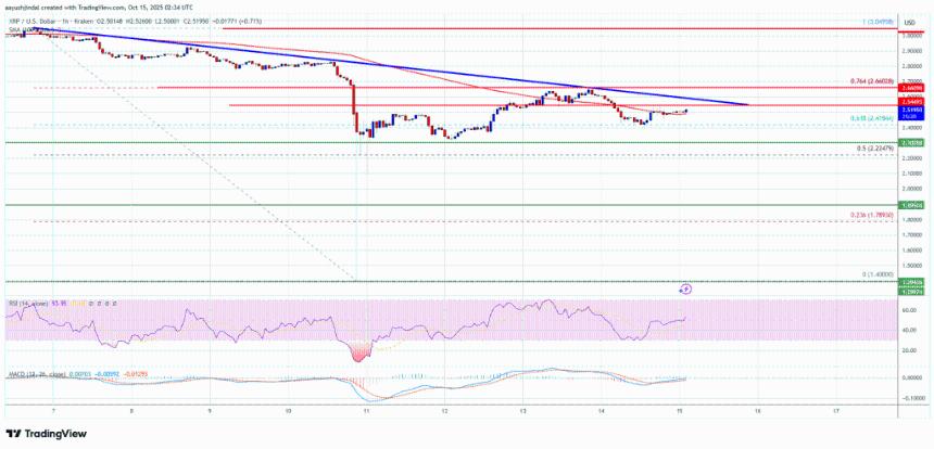 XRP价格关注关键上行突破 – 多头最终能否重新掌控局面？