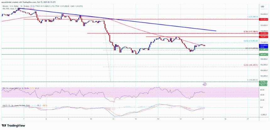 比特币价格承压——多头失去控制，图表转为看跌
