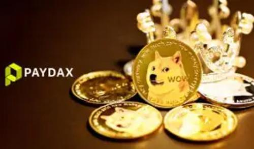 狗狗币持续低迷，PayDax协议或迎5000%涨幅