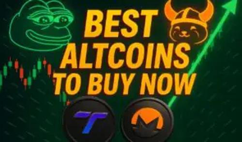 PEPE跌31% FLOKI跌40% 模因币退潮 Tapzi成十月最佳山寨币投资选择