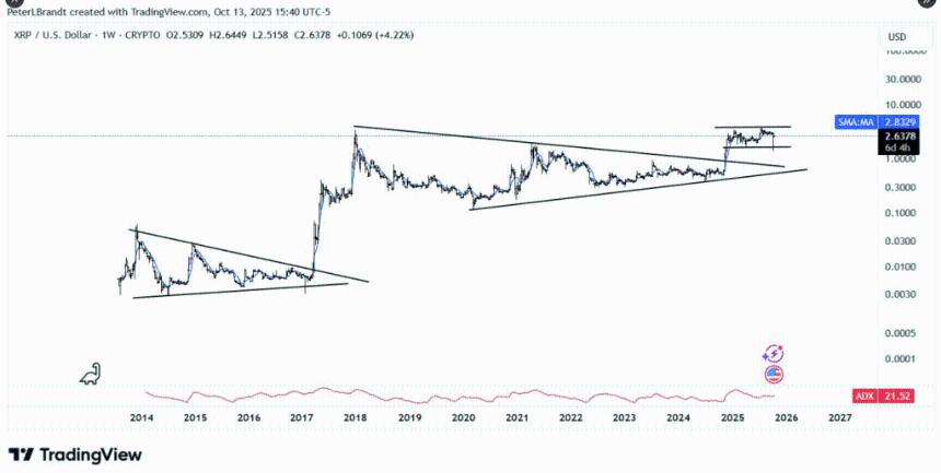 XRP下一轮牛市或将挑战以太坊市场地位，分析师警告潜在威胁