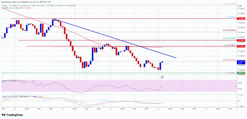 比特币价格波动——是否即将出现大幅下行趋势？