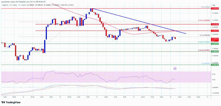狗狗币（DOGE）空头占据主导地位——未来或将迎来进一步下跌