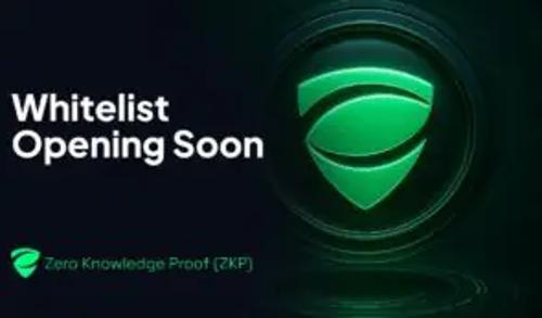 零知识证明引领2025投资新趋势：隐私性与可扩展性兼具