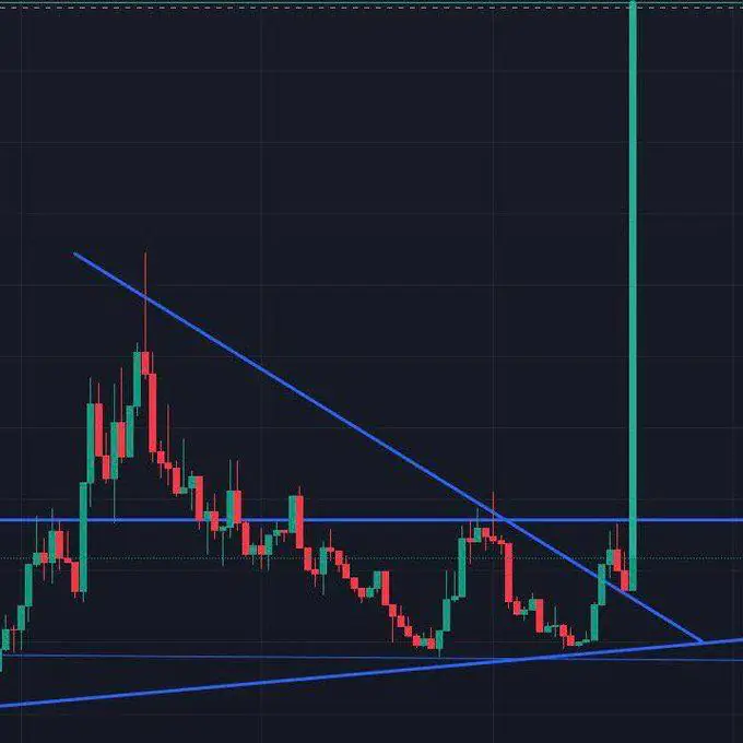柴犬持有者通过 Remittix 预售每天赚取 1,000 美元以上