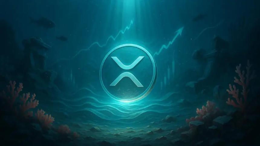 XRP再度成为焦点：挑战以太坊主导地位的潜力引发热议