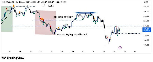  Solana 暂停充电 – 195 美元的支撑位能否支撑其卷土重来？ 