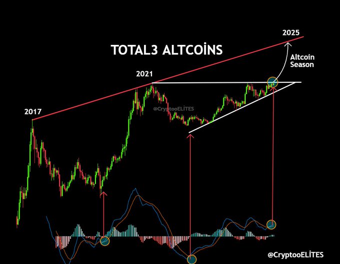  历史走势预示着山寨币季即将到来 