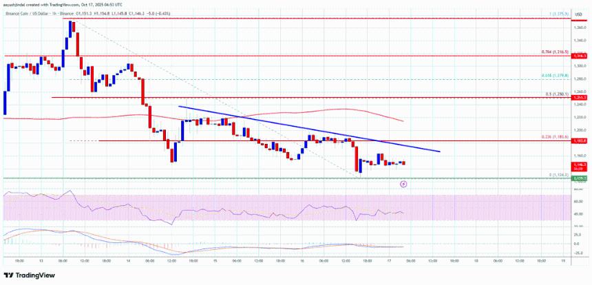 BNB价格回落面临下行压力，未来走势或承压