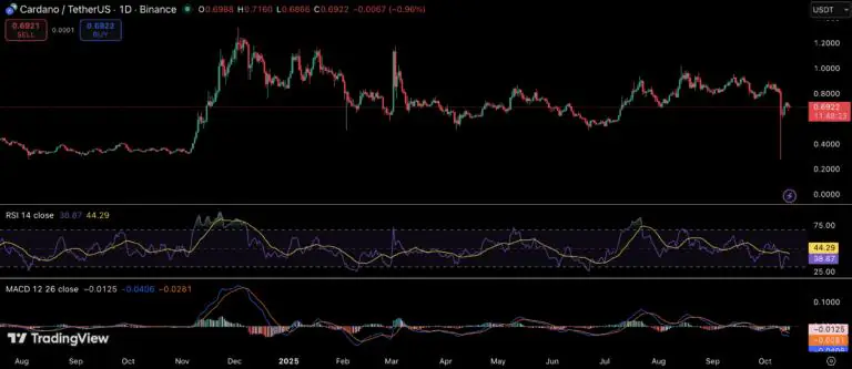 XRP和Cardano强劲反弹，分析师预测年底涨幅达60%