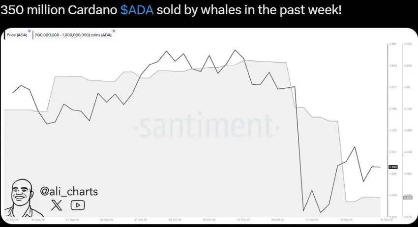 Cardano与Dogecoin交易波动，MAGACOIN FINANCE成2025年投资新星