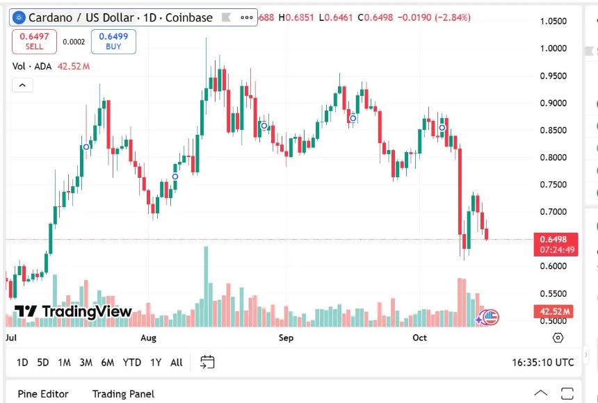 Cardano 和币安币：投资者信心的支柱