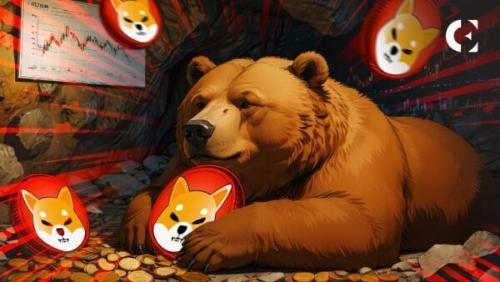 柴犬SHIB价格暴跌8.5%后反弹，Layer2生态持续布局