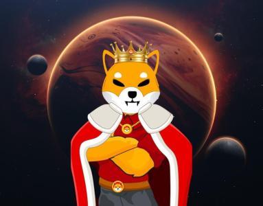 Shiba Inu为何可能永不触底？两大核心原因解析