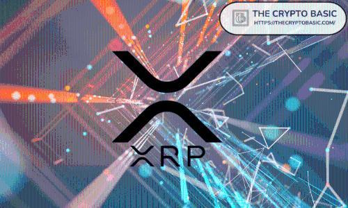 XRP价格走势承压，黑天鹅资本家创始人呼吁聚焦核心事实