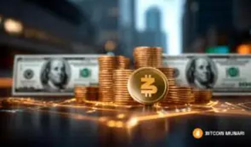 Bitcoin Munari早期访问即将结束，6美元代币发行前关键信号备受关注