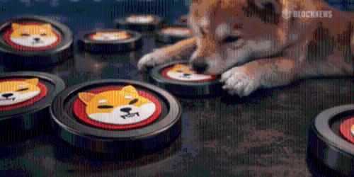 SHIB价格暴跌超91% 比特币走势成复苏关键