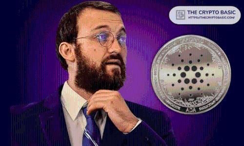 Cardano DeFi被低估？霍斯金森呼吁长期持有DEX代币