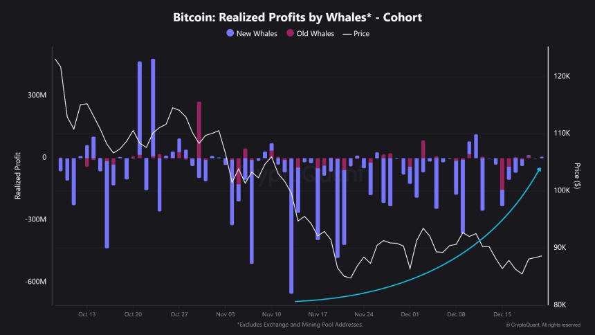 Realized Profits by Bitcoin Whales CryptoQuant