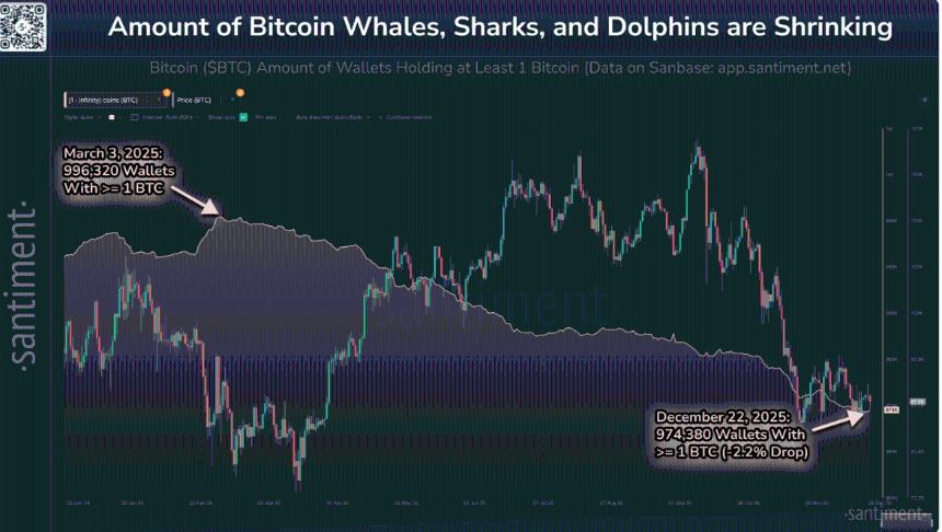 比特币价格预测：由于ETF资金流出加剧、巨鲸参与度下降，BTC跌破87000美元