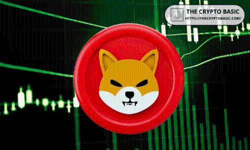 柴犬价格暴跌65%：是抄底良机还是结构性危机？