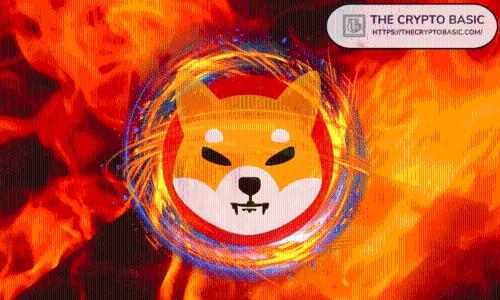 Shiba Inu销毁量骤降：通缩神话破灭？