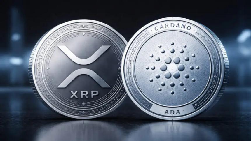 加密货币转型期：XRP与Cardano面临价值验证的关键挑战
