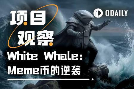 White Whale Meme币30天500倍逆袭：链上信号与社区接管如何逆转命运