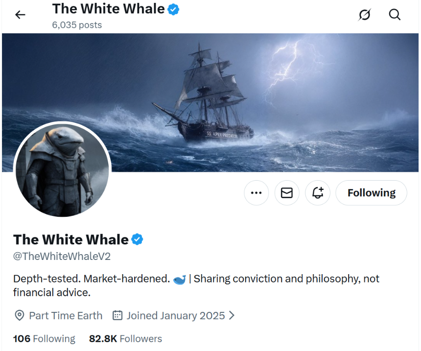 White Whale：一个“注定失败”的Meme币，如何在30天内实现500倍逆袭？